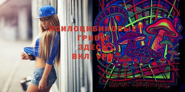 a pvp Абинск