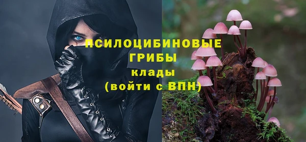хмурый Абдулино