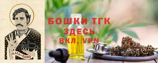 прущий лед Абаза